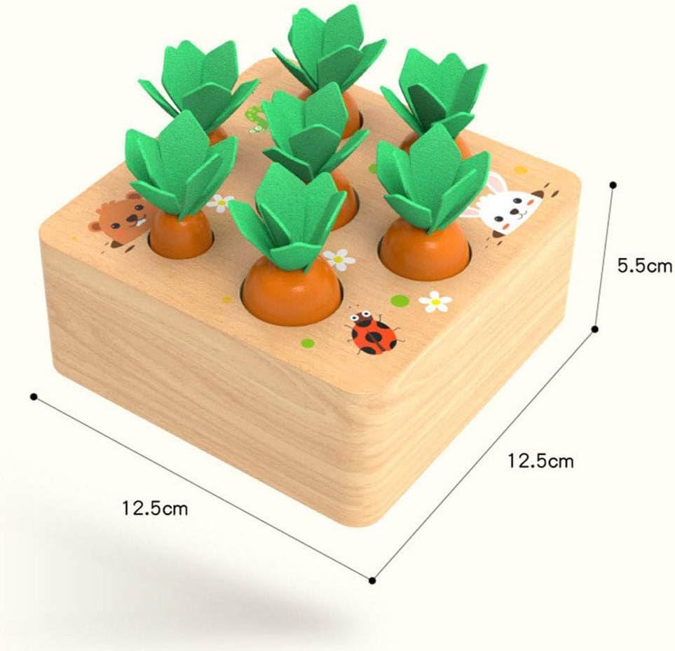 Montessori Sortierspielzeug aus Holz