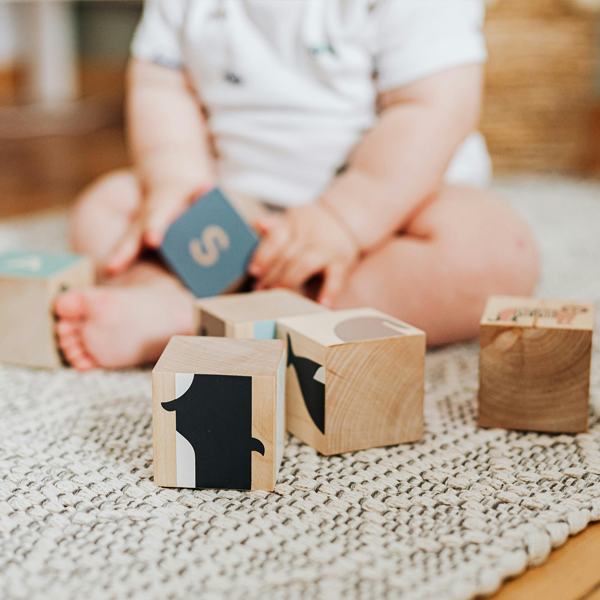 Wooden Blocks