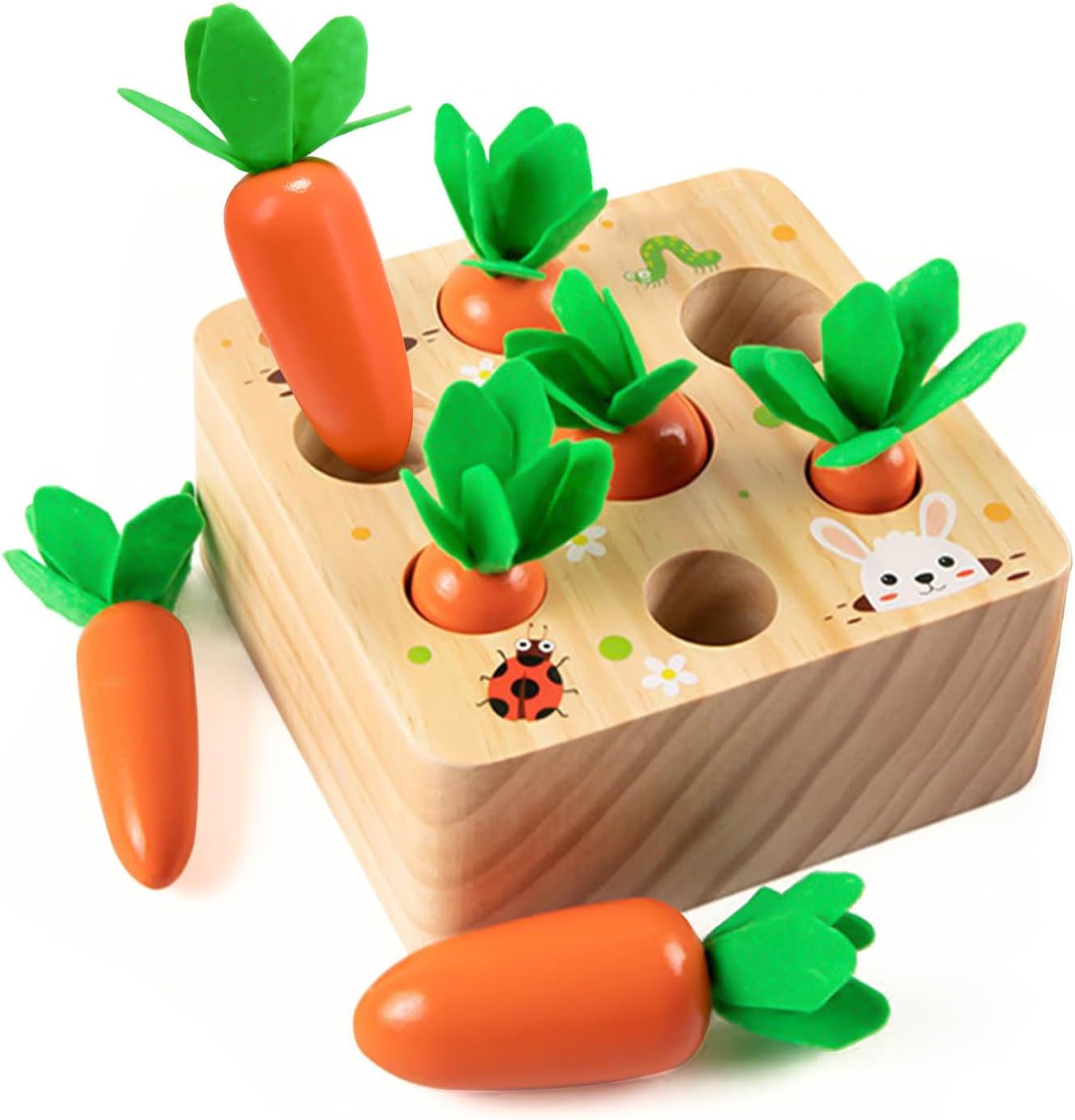 Montessori Sorting Wooden Toy