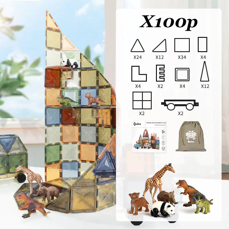 Montessori Magnetic Shape Sorting Blocks