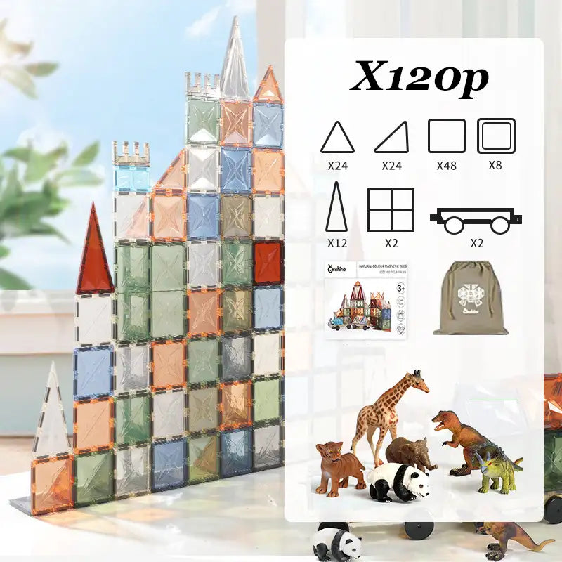Montessori Magnetic Shape Sorting Blocks