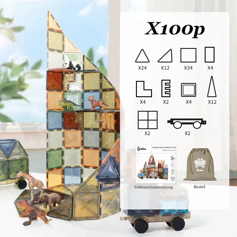 Montessori Magnetic Shape Sorting Blocks
